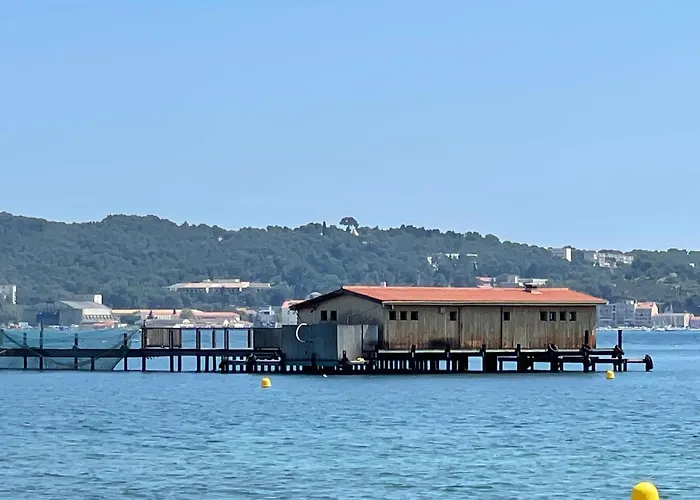 Petit Balaguier