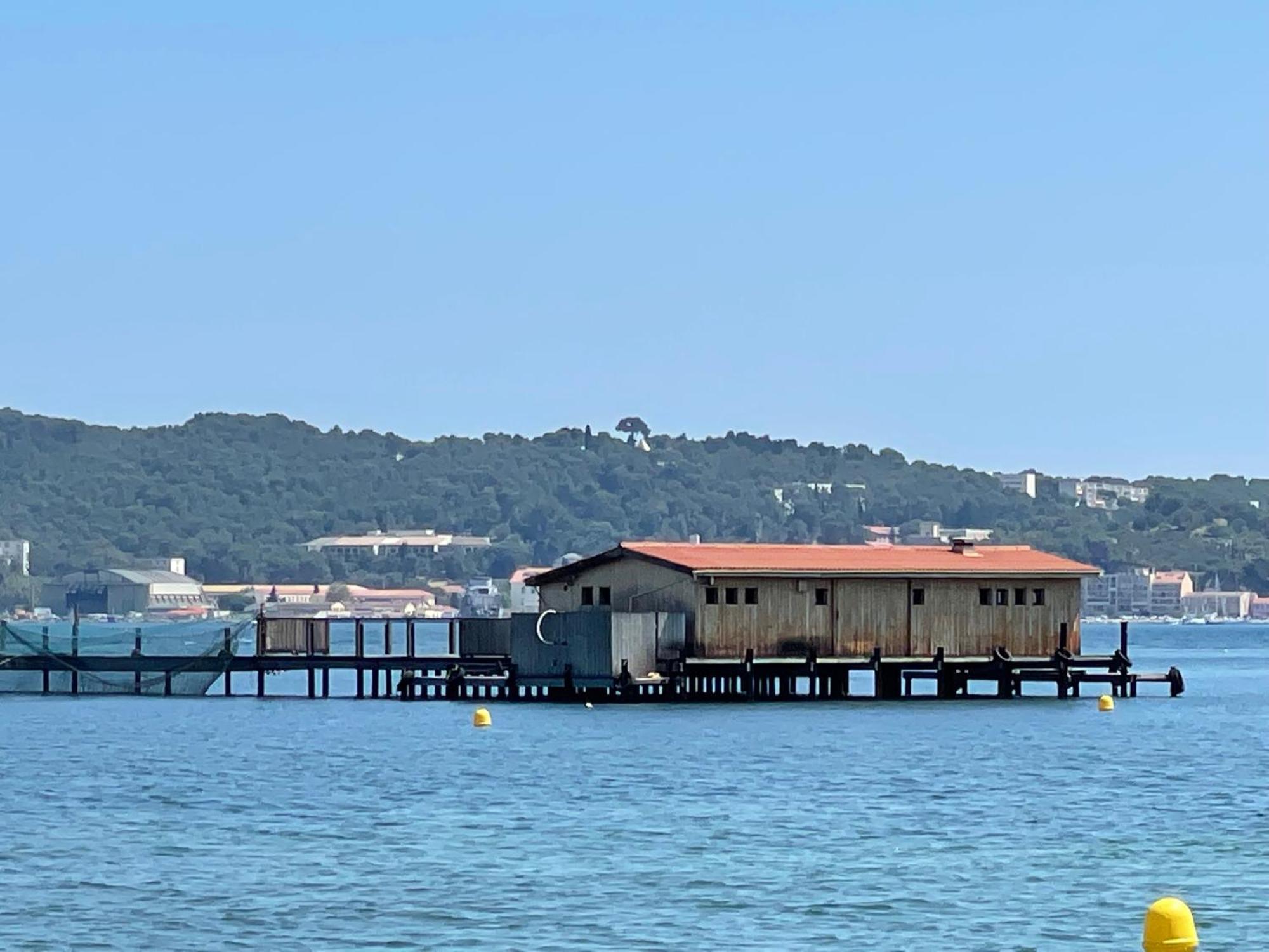Petit Balaguier Apartment La Seyne-sur-Mer